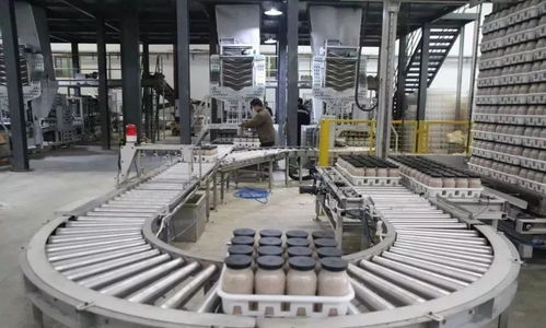 科技賦能農(nóng)業(yè)新篇章 西南最大食用菌工廠化項(xiàng)目在萬盛投產(chǎn)，引領(lǐng)生物科技新突破