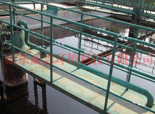 可為用戶提供方案咨詢,工程設計,技術服務,設備制造,安裝調試及凈水劑